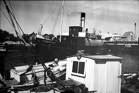 Klintekongen